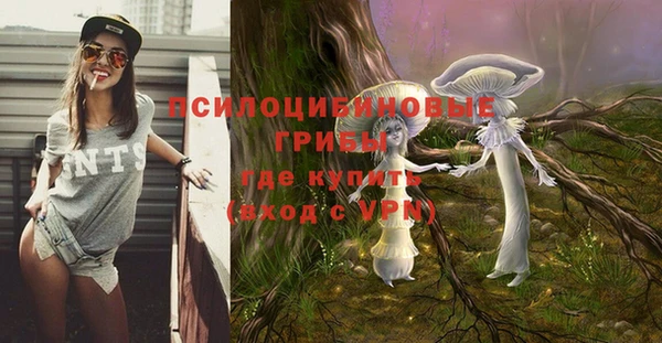 тгк Абдулино