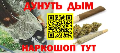 гашик Славгород