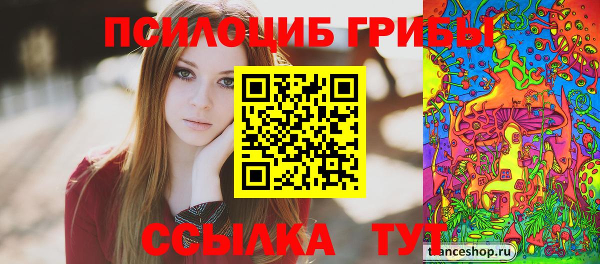 Тулун  Галлюциногенные грибы Magic Shrooms  Вход с VPN 