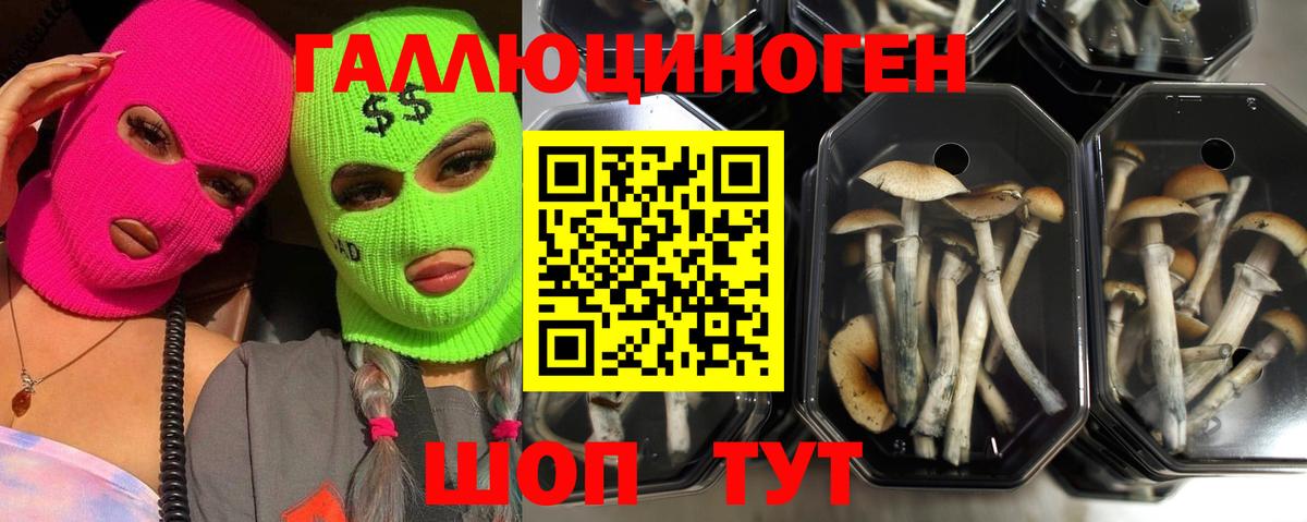 Псилоцибиновые грибы Magic Shrooms Тулун